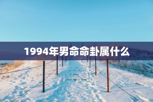1994年男命命卦属什么