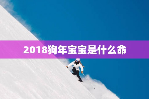 2018狗年宝宝是什么命