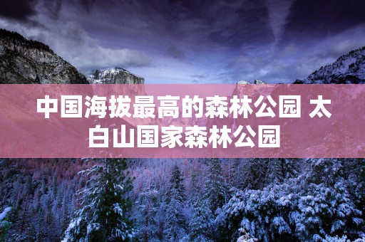 中国海拔最高的森林公园 太白山国家森林公园