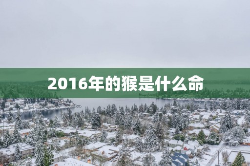 2016年的猴是什么命