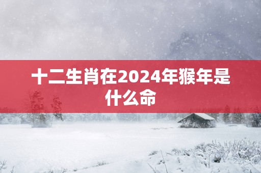 十二生肖在2025年猴年是什么命