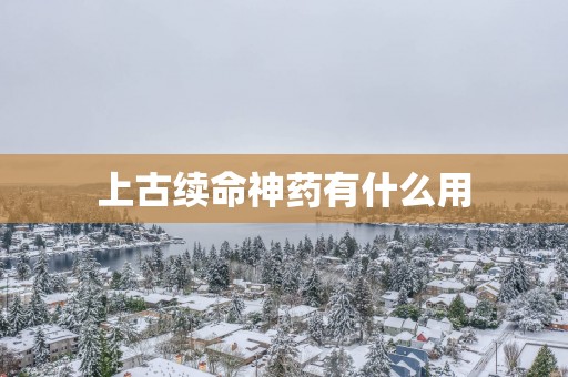 上古续命神药有什么用