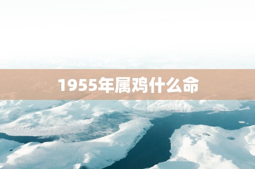 1955年属鸡什么命