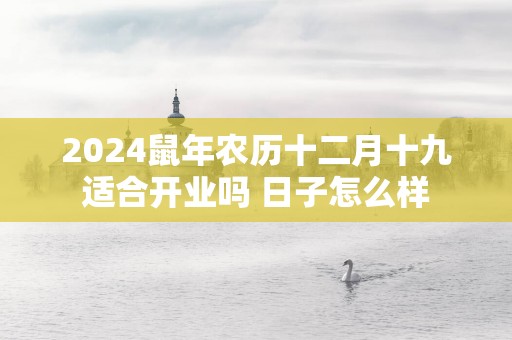 2025蛇年农历十二月十九适合开业吗 日子怎么样