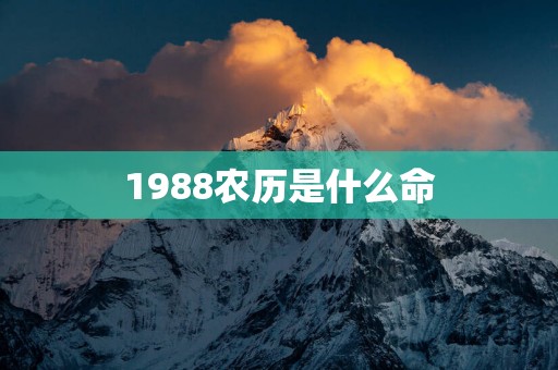 1988农历是什么命