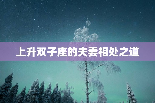 上升双子座的夫妻相处之道