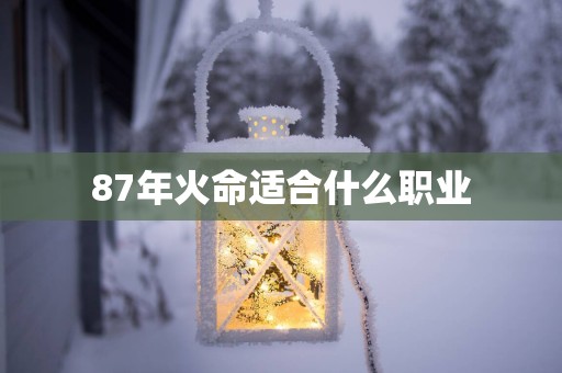 87年火命适合什么职业