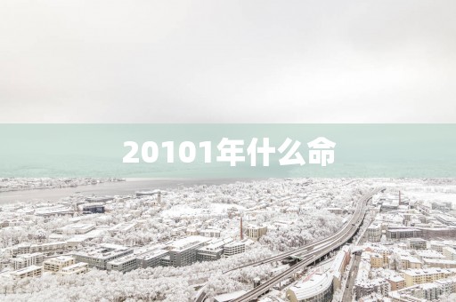 20101年什么命