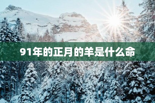 91年的正月的羊是什么命