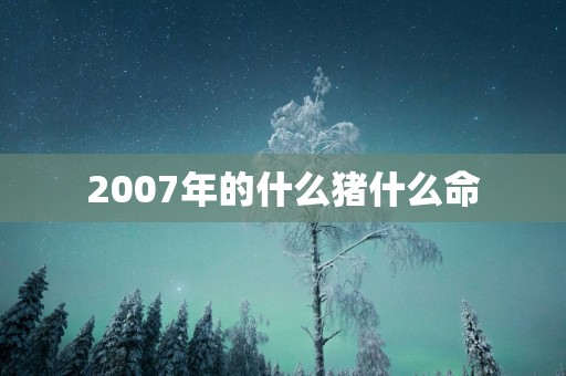 2007年的什么猪什么命