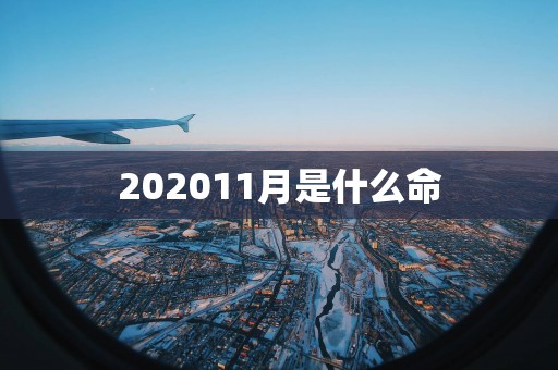 202511月是什么命
