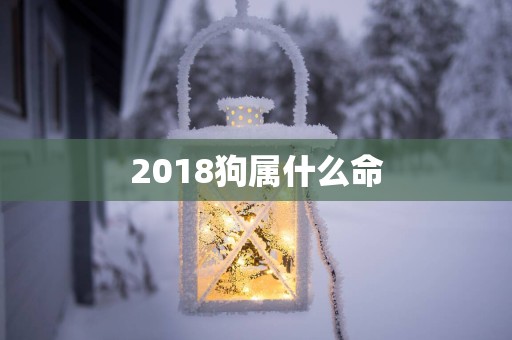 2018狗属什么命 2018狗属什么命