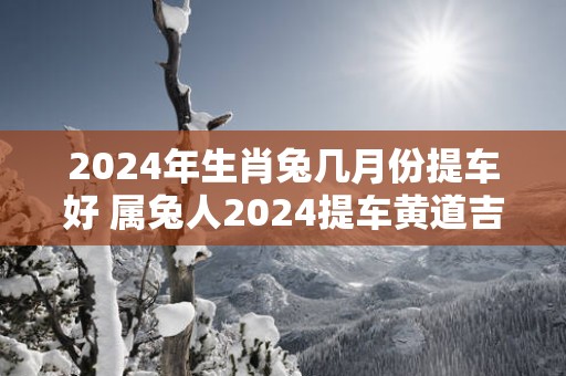 2025年生肖兔几月份提车好 属兔人2025提车黄道吉日