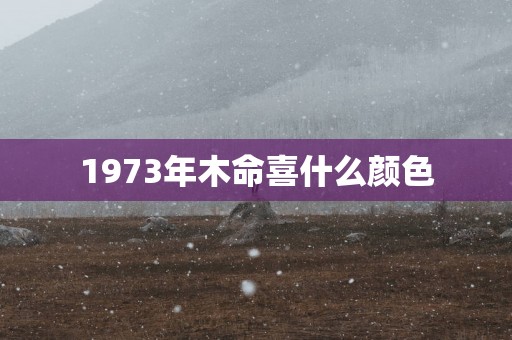 1973年木命喜什么颜色