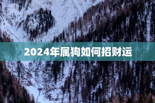 2025年属狗如何招财运