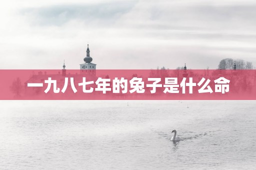 一九八七年的兔子是什么命