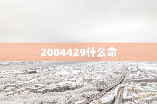 2004429什么命