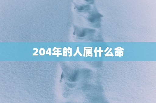 204年的人属什么命
