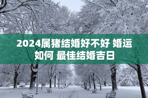 2025属猪结婚好不好 婚运如何 最佳结婚吉日