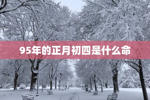 95年的正月初四是什么命