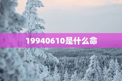 19940610是什么命
