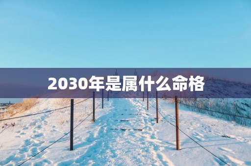 2030年是属什么命格