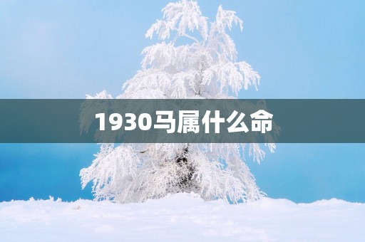 1930马属什么命