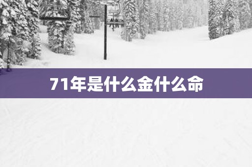 71年是什么金什么命