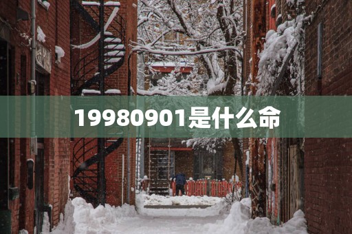 19980901是什么命
