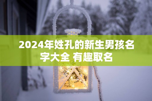 2025年姓孔的新生男孩名字大全 有趣取名