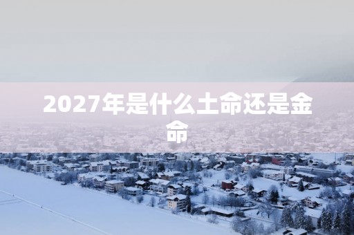 2027年是什么土命还是金命