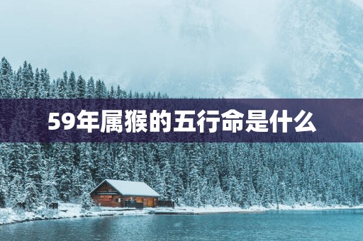 59年属猴的五行命是什么