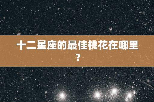 十二星座的最佳桃花在哪里？