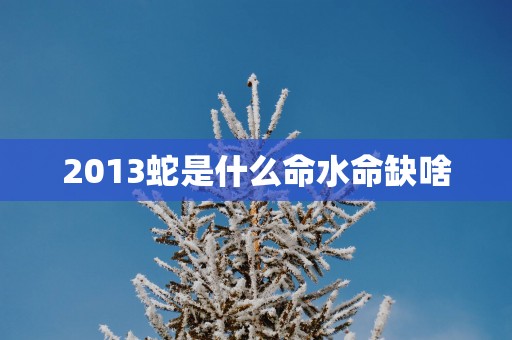 2013蛇是什么命水命缺啥