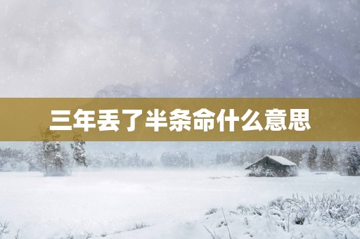 三年丢了半条命什么意思