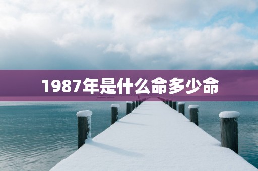 1987年是什么命多少命