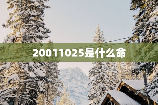20011025是什么命