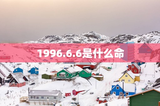 1996.6.6是什么命
