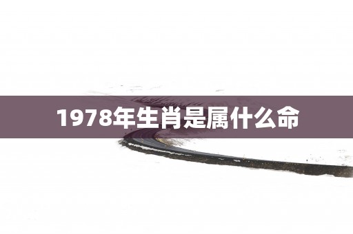 1978年生肖是属什么命