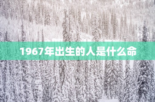 1967年出生的人是什么命