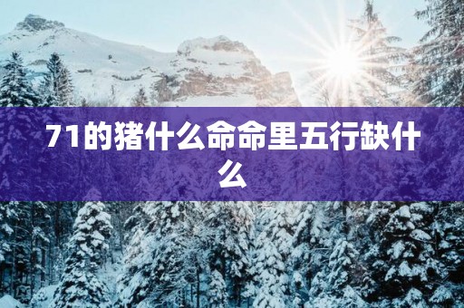 71的猪什么命命里五行缺什么