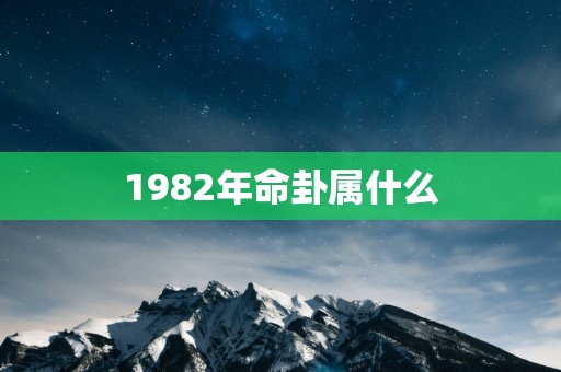 1982年命卦属什么