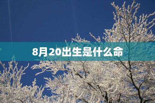 8月20出生是什么命