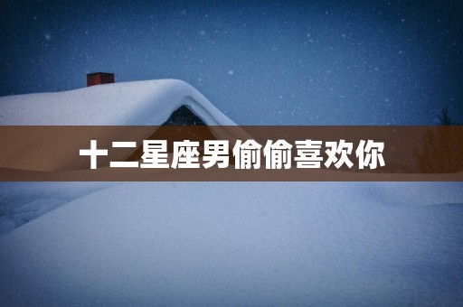 十二星座男偷偷喜欢你