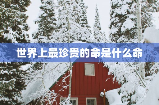 世界上最珍贵的命是什么命