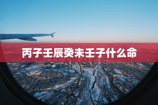 丙子壬辰癸未壬子什么命