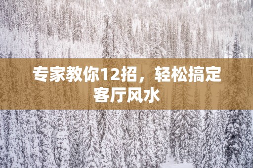 专家教你12招，轻松搞定客厅风水