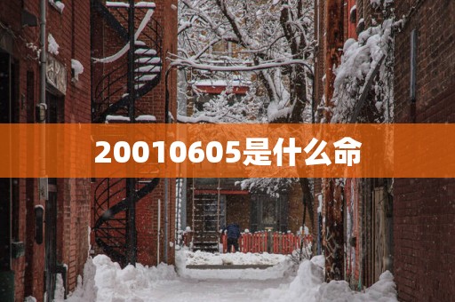 20010605是什么命