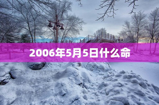 2006年5月5日什么命