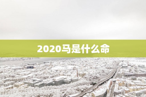 2025马是什么命